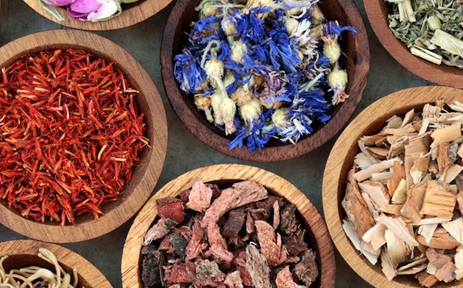 Botanical ingredient extract and quality scene used as mushroom ingredient placeholder